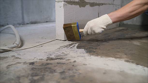 SJ Waterproofing Pros Waterproofing coverage map for Graysville, TN and surrounding area